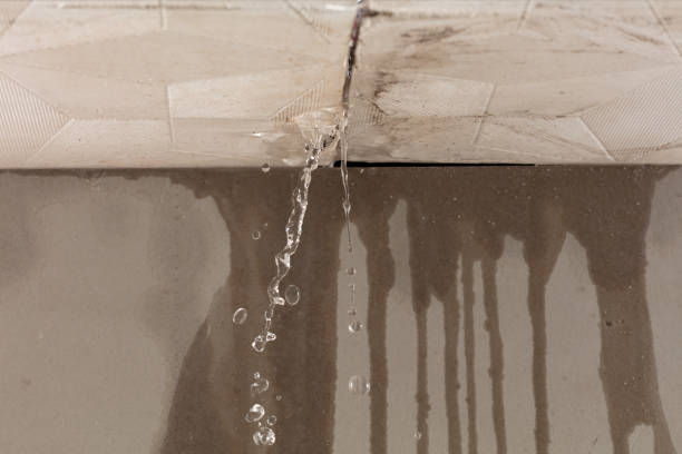Professional Structural Drying technician working in Cecil, PA